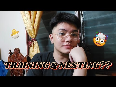 #25. HOW TO PASS YOUR TRAINING & NESTING STAGES IN BPO (BACK OFFICE) | Philippines