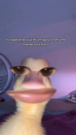 Videos de Coomer Party (@coomer.party) con “sonido original - Coomer Party”