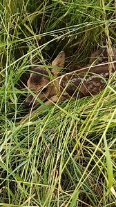 A day on the farm. 🚜🌾 #farmlife | American Farm Girls