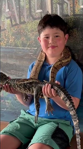 Python Around the Neck, Gator on the Shoulder… Just Another Day in Florida 🐊 🐍