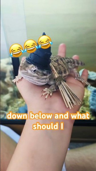 LIZARD WICKED COSTUME!!! 😂😂😂 #ART #WICKED #REPTILES #WICKEDFORGOOD #CRAFTS #CUTE #FUNNY