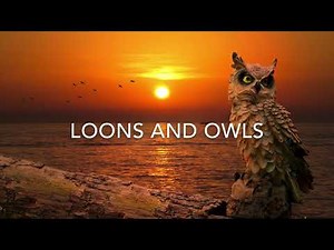 1 Hour Owl & LOON Sounds (With Crickets) *No Music*