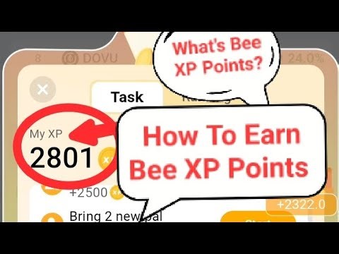 BEE NETWORK LATEST UPDATES: HOW TO EARN BEE XP POINTS, WHAT'S BEE XP POINTS, MINING BEE FASTER