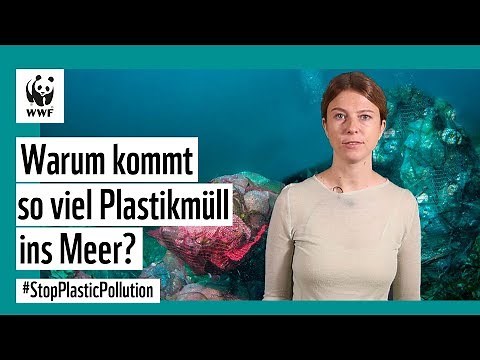 Warum kommt so viel Plastikmüll ins Meer? #StopPlasticPollution
