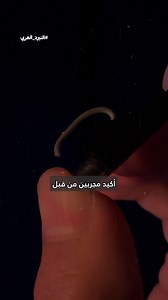 32K views · 1.4K reactions | IraqiNerd on Reels | Facebook