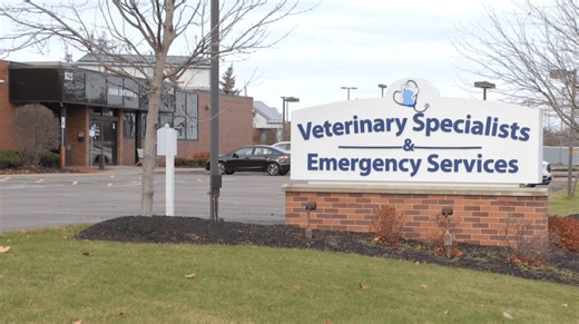 Where to take your pet after Rochester area's only emergency vet service closes