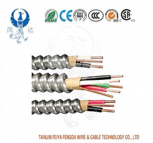 [Hot Item] High Quality 12/2 12/4feiya Fengda Flexible Metallic Canadian Electrical Code Armoured AC90 Cables