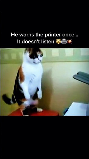 Cat vs Printer: He Warns It Once