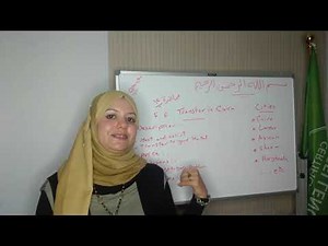 Just follow us & You will be a Professional Tour Operator, Lesson 12, Transfers