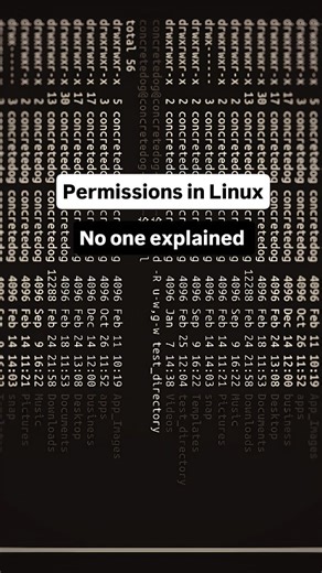 Potahto on Instagram: "Linux file permissions explained in the simplest way possible. This reel covers the complete basics of the Linux file system, Linux permissions, chmod command, read write execute permissions, numeric permissions, symbolic permissions, terminal commands, shell usage, and directory access control that every developer, programmer, ethical hacker, cybersecurity learner, DevOps engineer, and computer science student must understand. If you want strong Linux fundamentals, comman