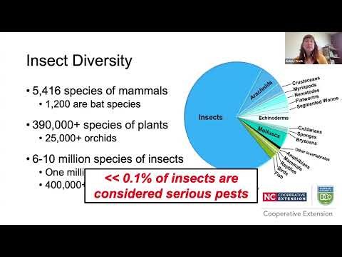 Entomology Pre-Class Recording