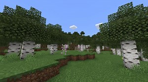 5 best biomes for resources in Minecraft