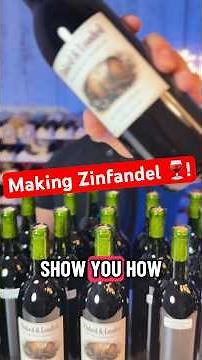 How to Make Zinfandel Wine 🍷! #winery #winetipsandtricks #howtomakewine