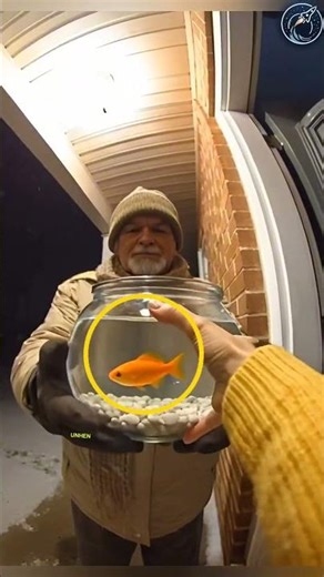 This cat catch the fish in fish tank | But she was actually helping 😱🫡 #respect #shorts #ytshorts