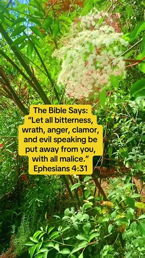 Ephesians 4:31 commands believers to remove sinful attitudes and behaviors—bitterness, rage, anger, brawling, slander, and malice—that destroy community and grieve the Holy Spirit. It instructs Christians to shed their