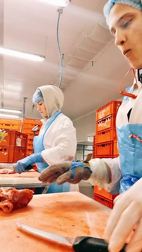 Meat Processing Techniques in Industrial Settings
