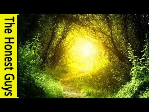 GUIDED MEDITATION for Healing - Experience the Pure Loving Energy of the Universe