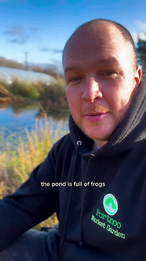 13K views · 960 reactions | It is great to see the frogs back to...