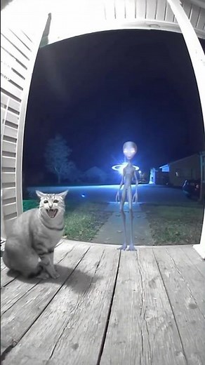 #shorts #cat #alien #horror