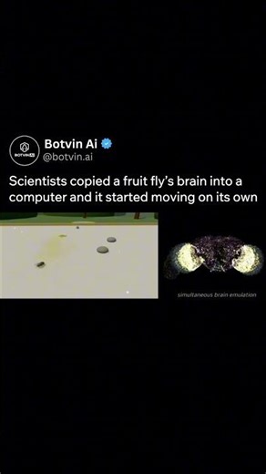 Scientists copied a fruit fly's brain into a computer and it started moving on its own #rogerpenrose