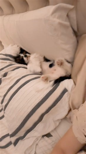 Jewel Staite on Reels