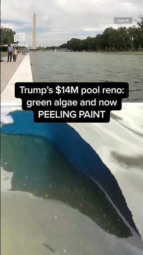 Trump's $14M pool reno: green algae and now PEELING PAINT