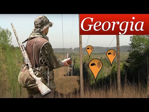 GEORGIA TURKEY HUNTING (Public Land) - Opening Day GOBBLING ACTION!