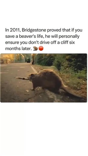 Iconic Adverts of all Time on Instagram: "If you love ads like this, Follow @iconiq.ads ❤️ so you don’t miss the next one, also check the link in my bio — I save the good stuff there. 😉 Bridgestone’s “Carma” commercial is a masterclass in narrative payoff. By showing a driver swerving to save a beaver, only for that same beaver to return the favor by stopping him from driving into a washed-out bridge months later, the brand turned a tire ad into a lesson on cosmic justice. The brilliance here i