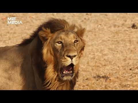 UGANDA'S LARGEST NATIONAL PARK