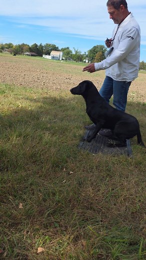 1.7K views · 130 reactions | Getting the hang of this Samsung Fold 7...