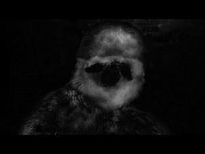 [ASMR] SCP-2774: "The Slow Burn Sloth" - A Binaural SCP Reading