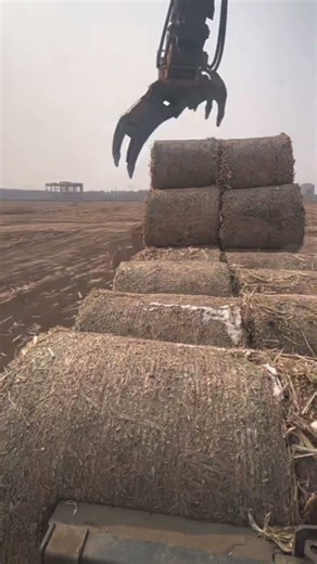 amazing work😍🙀 #facts #nothingimposibleinthisworld #amazingnature