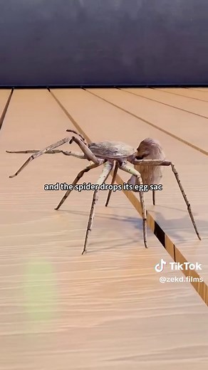 Why You Should Never Use A Laser Near Spiders 😱 #3danimation #animation #3d #zackdfilms #usa