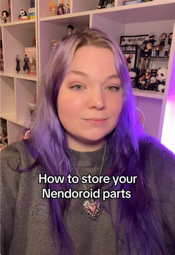 Best Storage Solutions for Nendoroid Parts