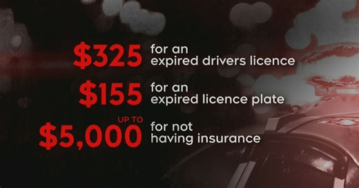 Check your licence expiration date