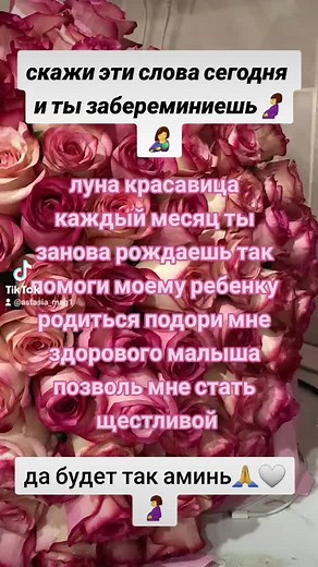 Close-Up of Pink Roses with Text Overlay