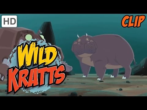 Wild Kratts - Jump and Ribbit like a Bullfrog