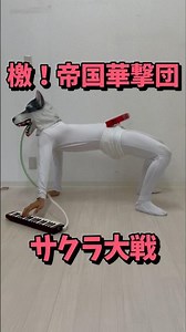 #檄！帝国華撃団 #サクラ大戦 #犬 #鍵盤ハーモニカ