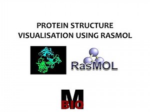 PROTEIN STRUCTURE VISUALISATION USING RASMOL