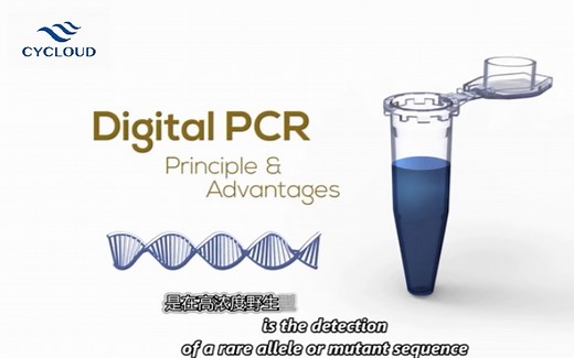 三分钟读懂数字PCR