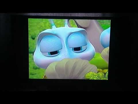A Bug's life Clip Building a Bird