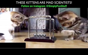 Simply Fun Stuff on Reels