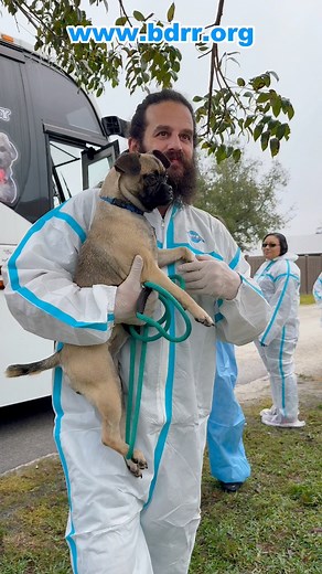Wherever there is a need, we always answer the call. 🤍Our journey began in California, where the wildfires had wreaked havoc and left countless animals in need. Shelters in LA already overwhelmed, we partnered with local rescues to help ease the amount of dogs in their shelter. By taking in dogs from our rescue partner in California, we helped create space for our Palm Springs partner to take in even more dogs from the LA area, offering them a chance at a better life. 🐾While heading back from
