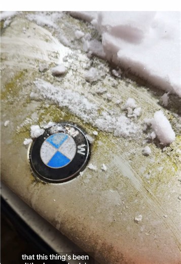 Discovering a BMW 735i That Sat for 17 Years