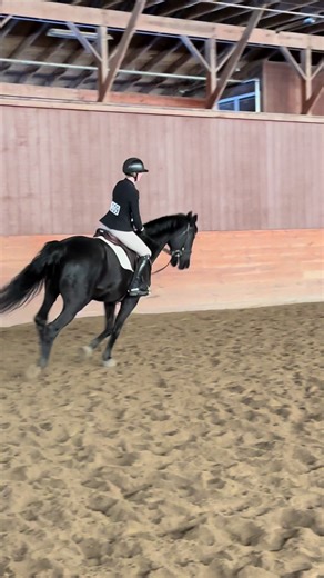 My full over fences because I loved this horse so much!! #foru #ieaopen #unshadowbanme #rideiea #iea