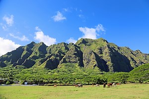 Famous Oahu Film Locations You Can Actually Visit
