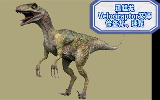 教你认识恐龙种类