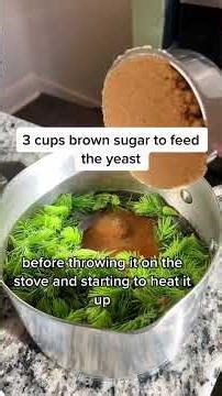 #CapCut #spruce #sprucetips #beer #fermentation #fermentationtiktok #brewing #homebrew #homebrewing