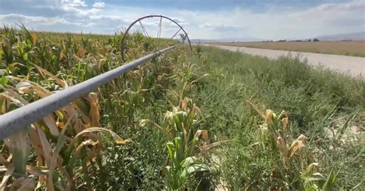 How Utah farmers are already feeling heavy impact of drought