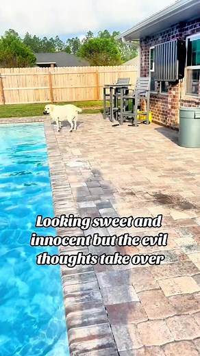 40K views · 2.4K reactions | Buster’s Bad Reputation!! | Buster's World | Facebook